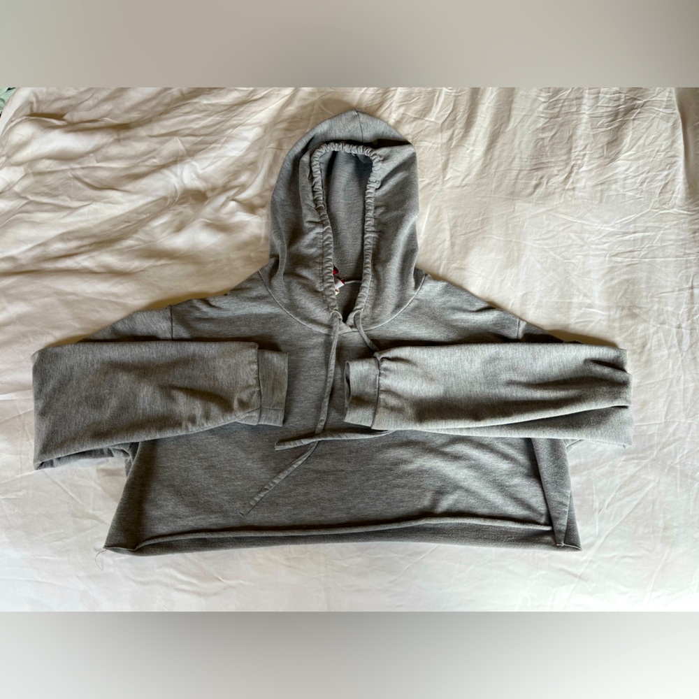 Akira Chicago cropped sweatshirt in gray, size small. Lightweight fabric.